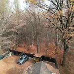 Zada Nature Lounge Case de vacanță