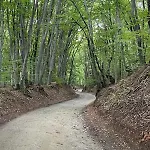 Zada Nature Lounge