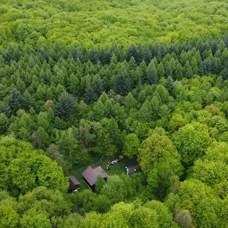 Holiday home Zada Nature Lounge