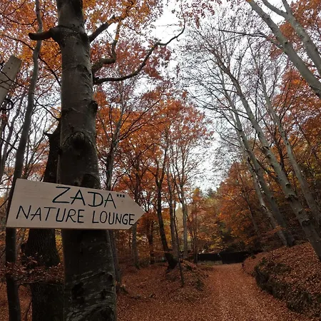 Zada Nature Lounge