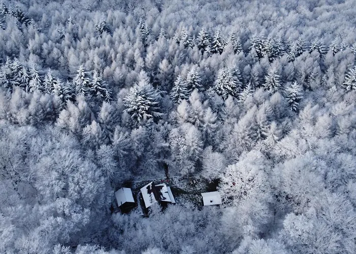 Zada Nature Lounge *